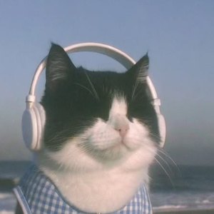 Album art: tuxedo cat in headphones at the beach